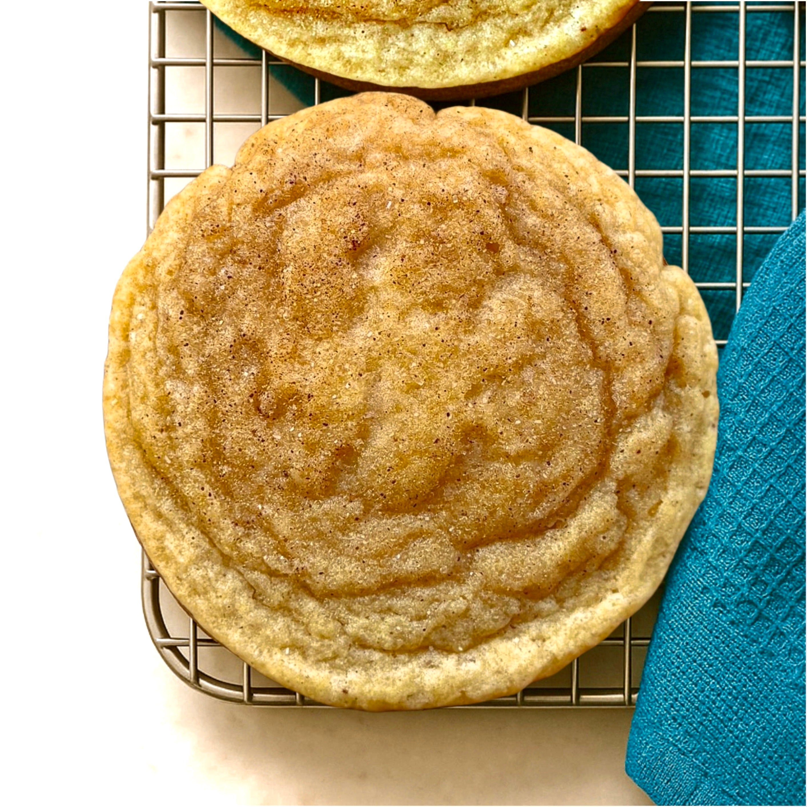 Snickerdoodle (G.F.)